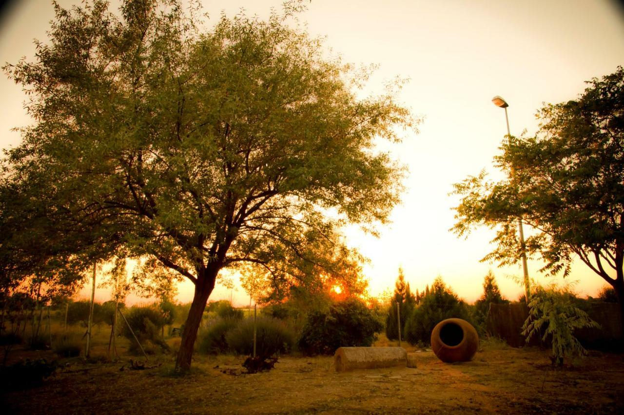 Las Candelas Casas De Los Pinos Dış mekan fotoğraf